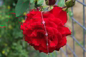 DSCF0426.jpg