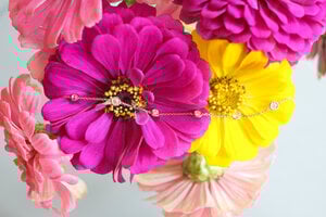 DSCF0450.jpg