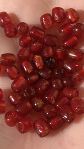 0F752D1D-351A-4E05-AB22-103A72D692C9.png