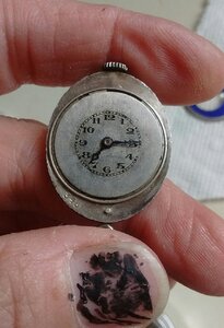 IMG_20200731_163518.jpg