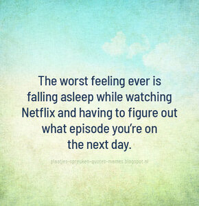 whichepisode.jpg