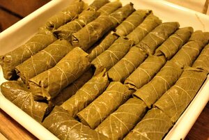 IMG_2401 (2).JPG