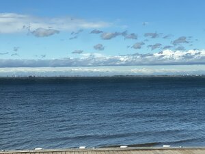 CD054D36-0232-46DB-95CD-D76D214EE228.jpeg