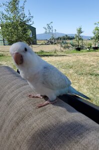20200805_103503.jpg