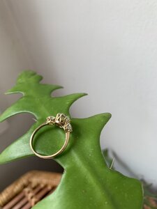 IMG_0281.jpg