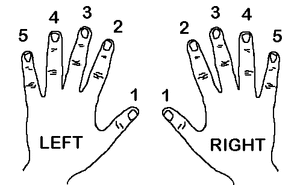 Piano-Finger-Numbers.gif