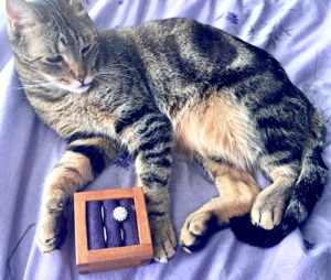 tommyandbubbalahinjewelryboxbygreg.png