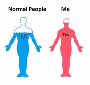 normal-people-me-tea-h2o-QeASg.jpg