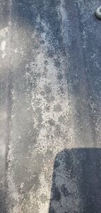 20200810_130019.jpg