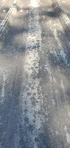20200810_130035.jpg