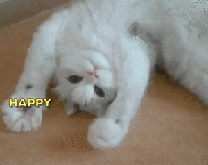 BE170411-7EF5-496B-8067-BDBD1885CD66.gif