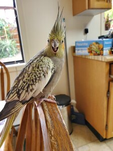 20200811_175133.jpg