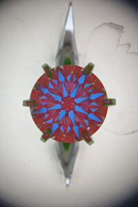 IMG_20200811_114301.jpg