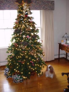 Cavalier Xmas.jpg
