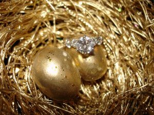 Birdnest bling 2.jpg