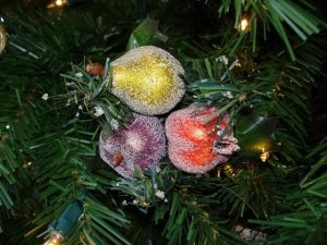 Xmas fruit 2.jpg