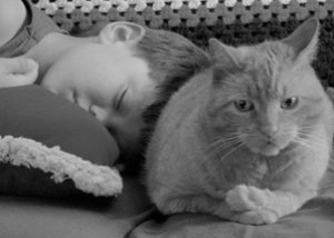 P&Boo.jpg