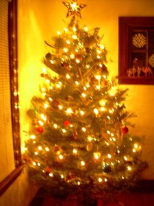 elmortontree7.jpg