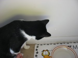 IMG_1426_1.JPG