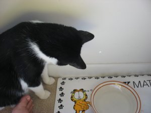 IMG_1427_1.JPG