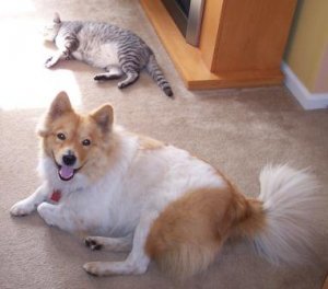 kitty quigley 494949.jpg
