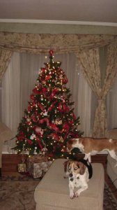 xmastr002.JPG