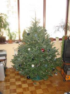 darkeyestree2.jpeg