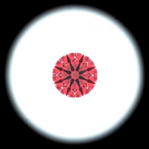 IS_AGS8862002.jpg