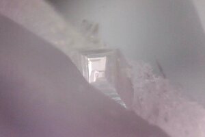 Photo on 8-17-20 at 1.46 PM.jpg