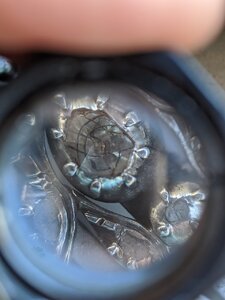 IMG_20200818_181547.jpg