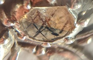 IMG_20200818_162827.jpg
