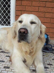 20111222_162918.jpg
