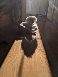 IMG_20200826_175245.jpg