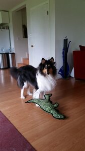 20150419_150817.jpg