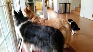 20160320_192044.jpg