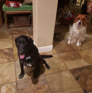 20200826_202955.jpg