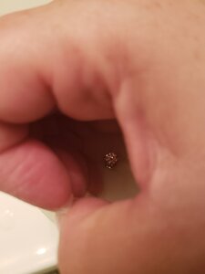 20200827_182022.jpg