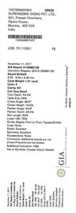 H20688-L176441525.jpeg