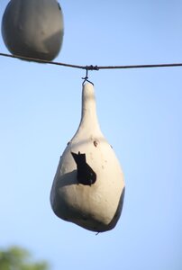glenny'sfeeders.jpg