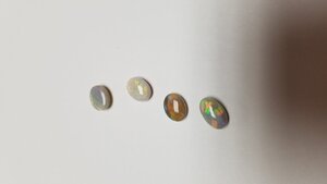 20200908_141255.jpg