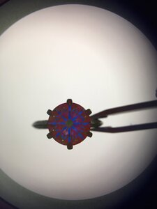 image4.jpeg