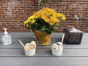 3AE76B09-6CF7-4175-A468-DB91BF5DA5A3.jpeg