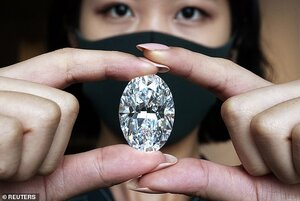 33009872-8718489-Only_seven_such_diamonds_known_in_the_trade_as_D_color_flawless_-a-116_159975...jpg