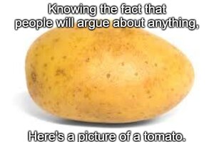 arguingaboutanything.jpg