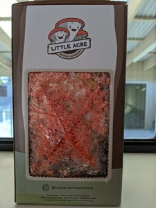 IMG_20200911_163442.jpg
