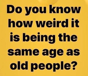 weird.jpg