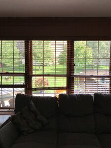 F607A93A-01D9-4085-B281-BACBCD51358C.jpeg