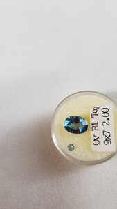 20200923_192459.jpg