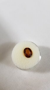 20200923_202054.jpg