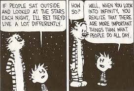 calvinandhobbesthebiggerpicture.jpg